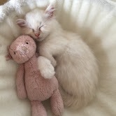 Enzo med sin lilla gris